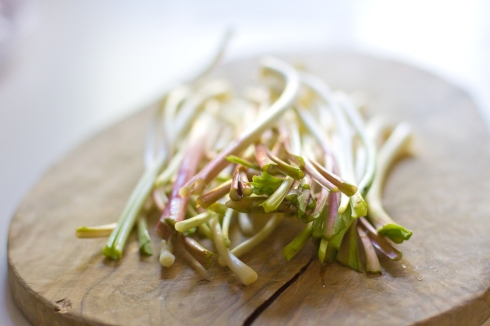 pickled ramps-15